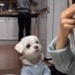 [NCT즌] 다들 많이 먹고