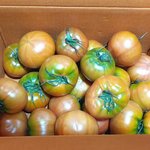 태야벌토마토라고 알아?