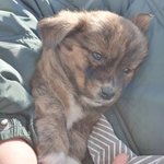 내이름은이태식2