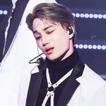<b>도도</b>한 첫인상? 알고 보면 순둥이!