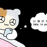 짝남이랑 친해지는법좀 ㅈㅂ