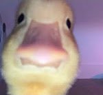 제에에<b>에발</b> 나 배고파