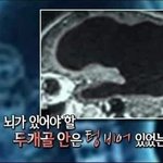 [세븐틴] 난 관음이랑 어그로들이 ㅈㄴ웃긴게