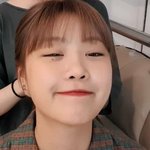 짤하나 <b>수진</b>