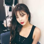 짤하나 <b>수진</b>