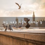 [좋은생각] 매일 새로운 <b>아침</b>이 주어지는 것~