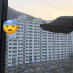 후기?)) 베란다에서 <b>이불</b> 터는 윗집 어느정도까지 이해하시나요?