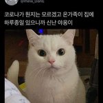 우리반만 ㅈㄴ노잼이냐?