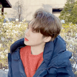 [펜타곤] 아니 진짜 형구몰이하는거 보면