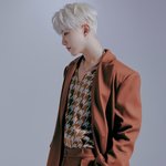 [세븐틴] 호싱이 자세 하나 바꿨을 뿐인데