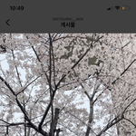 [NCT즌] 아근데 이마크 인슷타 너무 한국 <b>갬성</b>으로만 꽉차있는듯