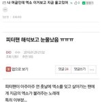 <b>피터팬</b> 해석
