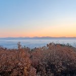 가정폭력과 학교폭력을 당한 18 하소연 좀 들어주세요.