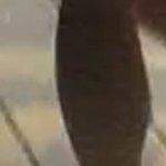 나 진짜 종아리알<b>때매</b> 죽고싶다ㅠㅠ