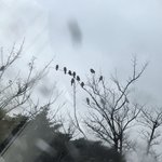 [댓글부탁해] 한번 <b>웃음</b>터지면 잘 못참는데