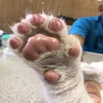 <b>뷰러</b> 다음에 바로 픽서 해두돼?