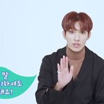 [세븐틴] 나 <b>보컬</b>팀 기대된다