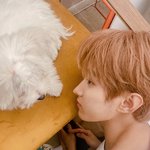 [세븐틴] 이석민 <b>콧대</b>가 나한테 결혼하자는ㄷㅔ