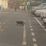 치즈 <b>케이</b>키 먹고 싶어ㅠㅠㅠㅠ