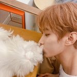 [세븐틴] 아니 미친 <b>이도겸</b>