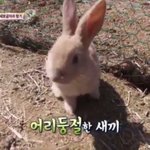 너네 공부할때 머리 내려오는거 어케해