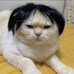 [댓글부탁해] <b>남혐</b> 생길만 하네