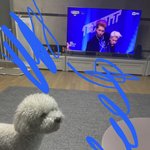 [세븐틴] <b>보리</b>랑 호싱이 기다리는중