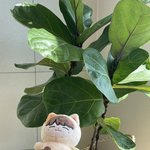[NCT즌] 치즈잰 진짜 꼭 <b>사야</b>돼