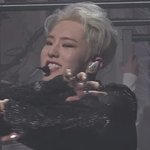 [세븐틴] 호랑이 <b>vs</b> 햄찌