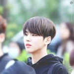 [펜타곤] 펜타곤 제일 찰떡 <b>별명</b>