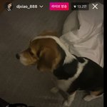 [NCT즌] 헐 ㅅ 더쥔 인라에 윙 댓<b>달음</b>