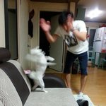 [MOA] 이거 범규와 나