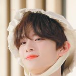 [드루와] 고깃집에서 파는 냉면면 어디걸까