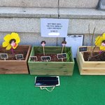 [NCT] 툥이 물꼬<b>기들</b>처럼 자컨 각인듯ㅋㅋ