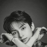 [세븐틴] 준잘이