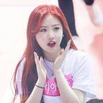 짤하나 <b>수진</b>