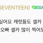 [세븐틴] <b>편견</b> 없는 홋이