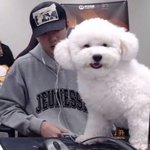 [드루와] <b>세훈이</b>네 갱얼쥐 볼사람