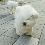 [댓글부탁] 향기 <b>글</b> 보다가 실시간으로 <b>삭제</b>됨