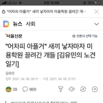 애견미용학원에서 자행되는 끔찍한 동물학대