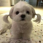 내다리 치마입기 ㄱㅊ? 추반좀