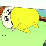 내 얼굴 <b>왼쪽</b>에서 보면 ㅈㄴ 예쁨