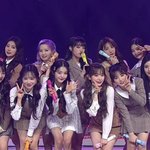 혹시 아이즈원 <b>파본</b> 애들 있음?