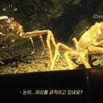 백현이가 너무 <b>킹</b>엽습니다