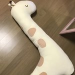 생일선물 바디<b>베게</b> 받았는데 ㄹㅇ 졸라 커