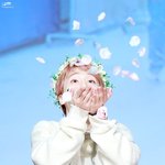 [펜타곤] 이번에 데뷔하신