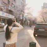 짤하나 <b>수진</b>