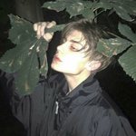 [ㅈㄱㄴ] 눈썹이 <b>갈색</b>일 수도 있음?