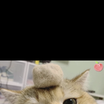 [모두드루와] 이가흔 <b>박혜수</b> 비슷하게 생김