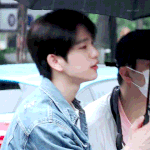 짤하나 <b>진영</b>